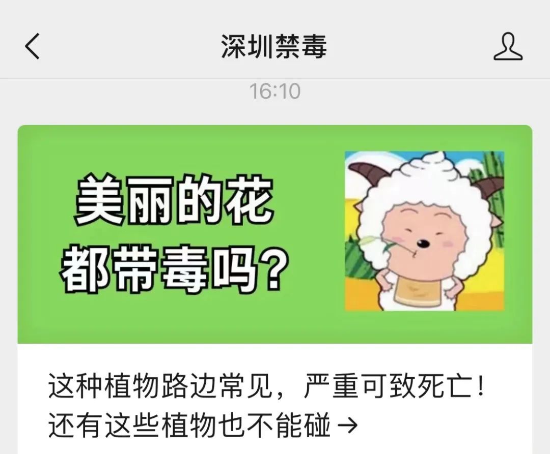 警惕！全株有毒！广东路边很常见！