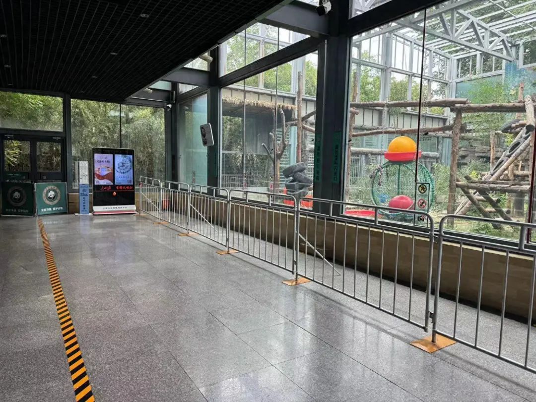 要备案,有专区!在北京动物园直播“顶流”熊猫有规矩,违规三次就禁播 要备案,有专区!在北京动物园直播“顶流”熊猫有规矩,违规三次就禁播