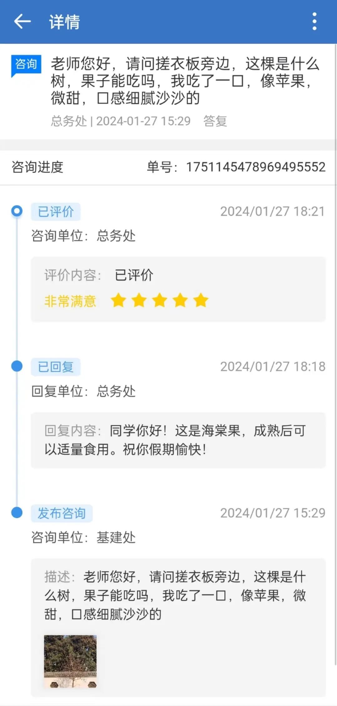 又见神仙"许愿池"！大学生馋树上樱桃，老师"豁出去"试吃，果然…