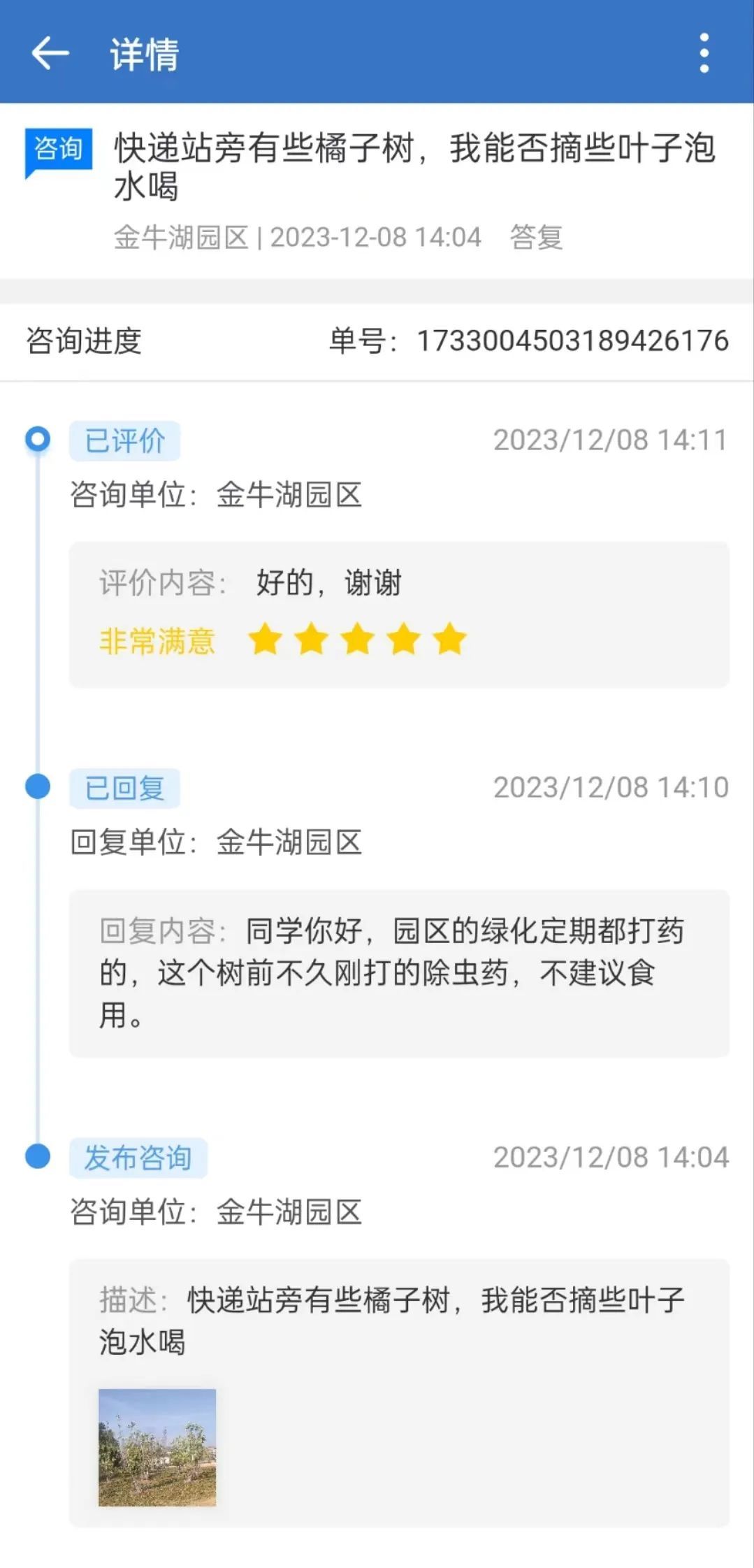 又见神仙"许愿池"！大学生馋树上樱桃，老师"豁出去"试吃，果然…