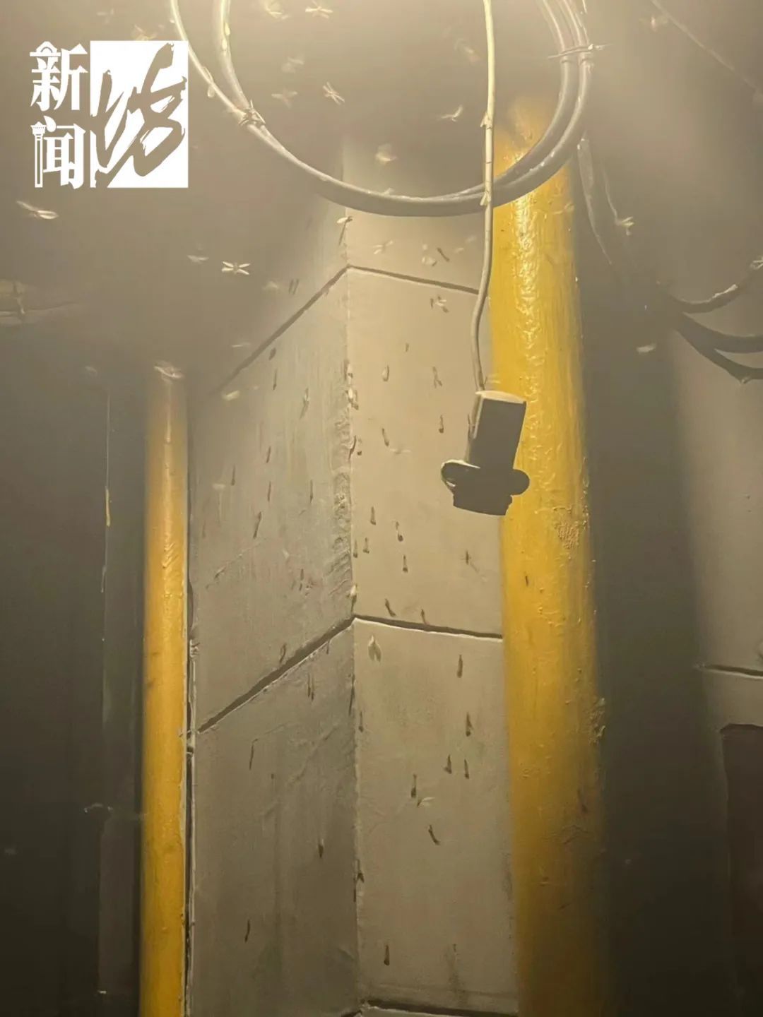 做好防范!专家提醒:本周末或大范围爆发! 做好防范!专家提醒:本周末或大范围爆发!