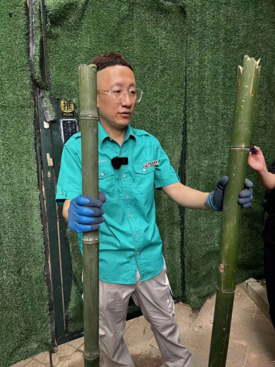 要备案,有专区!在北京动物园直播“顶流”熊猫有规矩,违规三次就禁播 要备案,有专区!在北京动物园直播“顶流”熊猫有规矩,违规三次就禁播