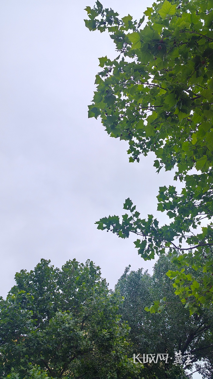 中到大雨+暴雨+最低12℃！大范围降水将至 河北多地发布预警