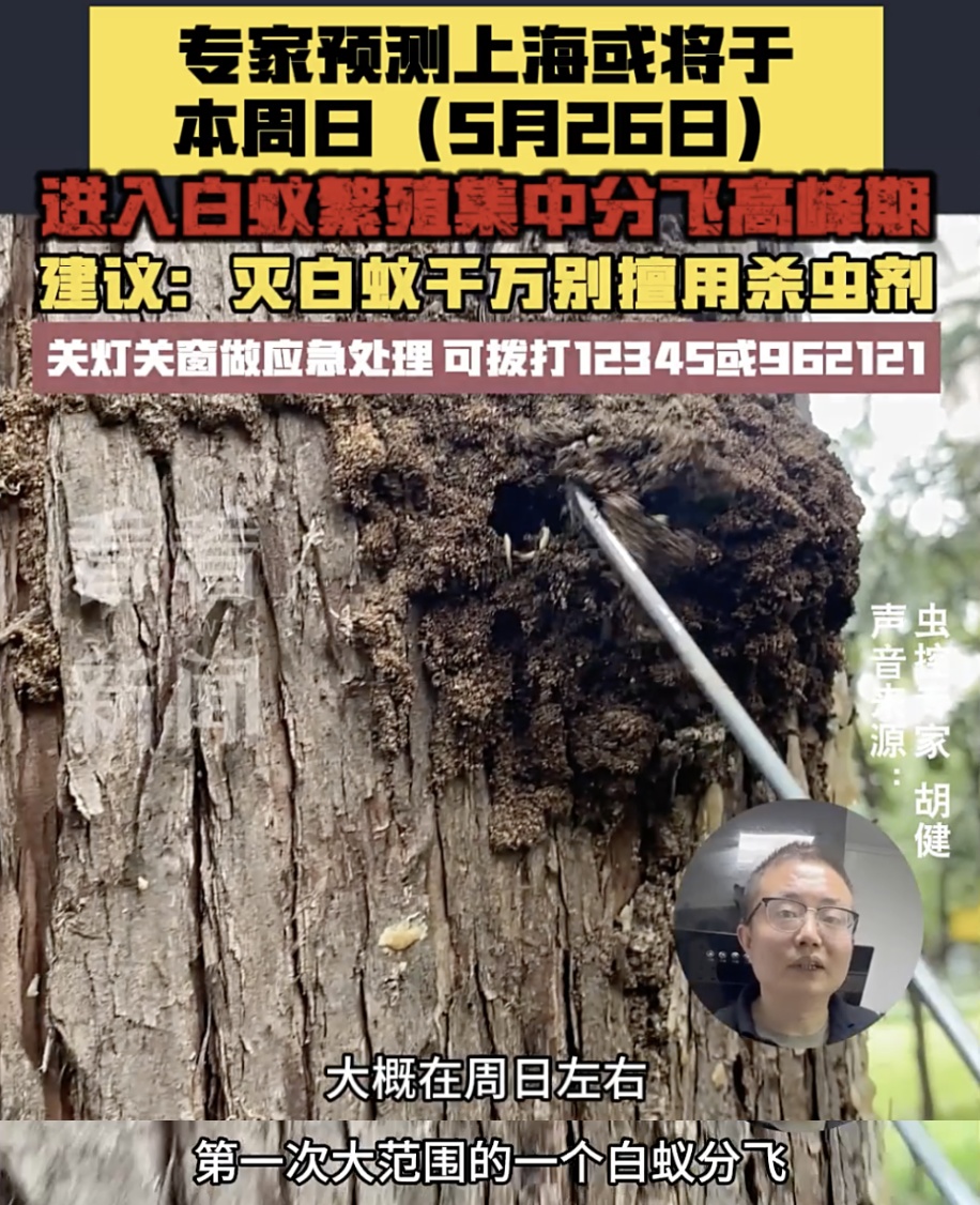 做好防范!专家提醒:本周末或大范围爆发! 做好防范!专家提醒:本周末或大范围爆发!