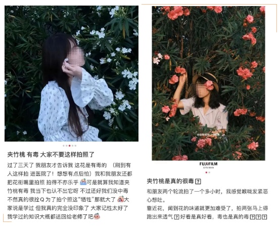 警惕！全株有毒！广东路边很常见！