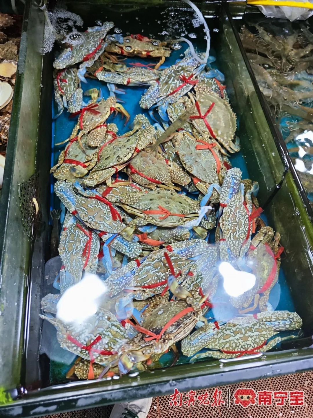 休渔后，南宁海鲜市场是否受影响？价格会上涨吗？