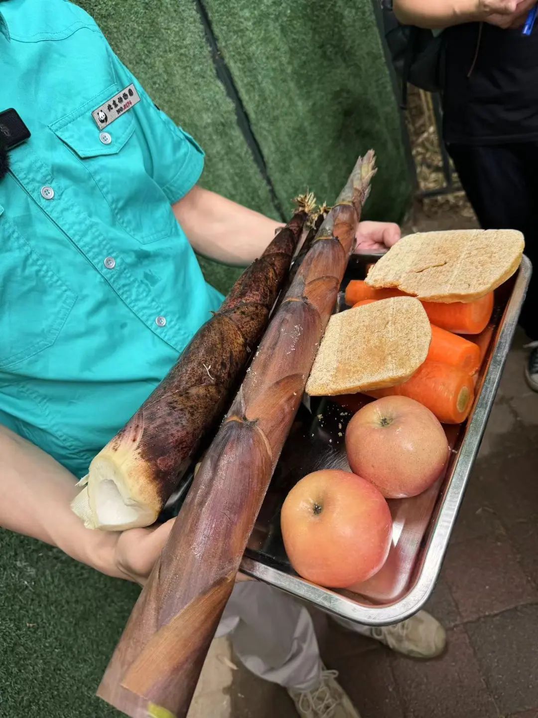 要备案,有专区!在北京动物园直播“顶流”熊猫有规矩,违规三次就禁播 要备案,有专区!在北京动物园直播“顶流”熊猫有规矩,违规三次就禁播