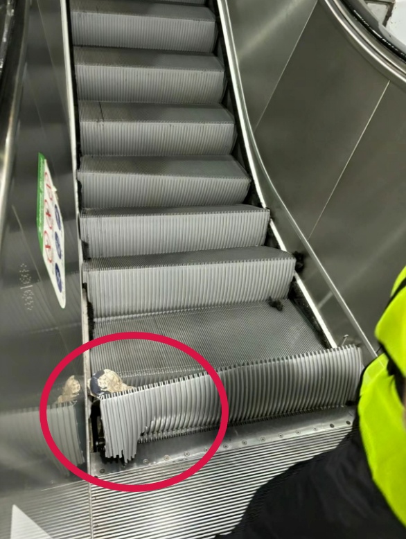 上海地铁站内，有乘客鞋子被夹住，自动扶梯变形？情况说明