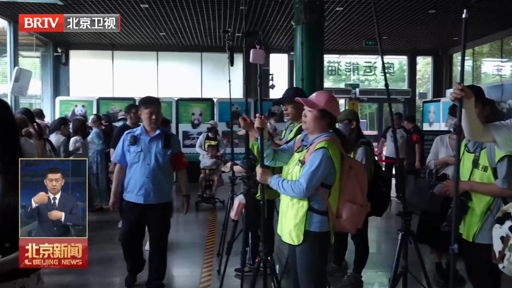 直播也要守“底线”！北京动物园严控熊猫馆直播现象，禁止“带货”