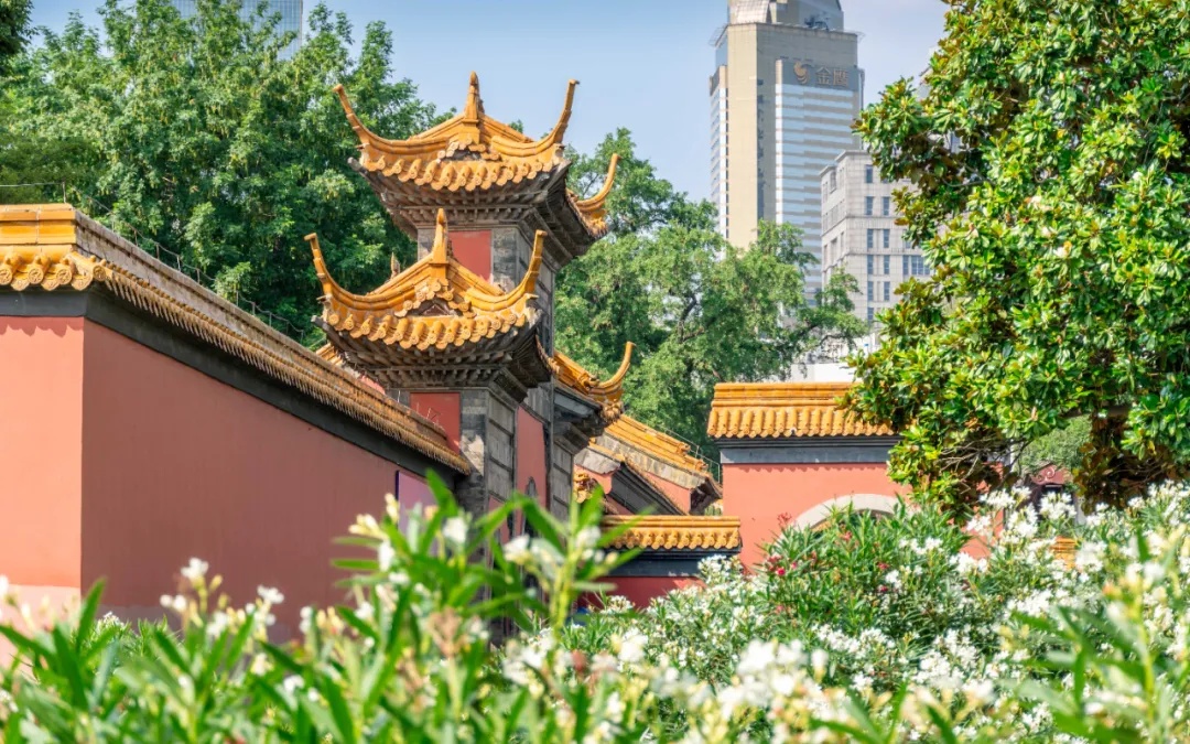 警惕！毒性很大，千万别碰！
