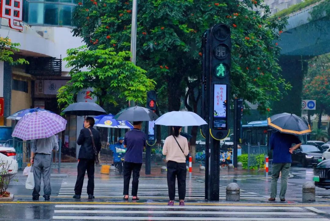 暴雨！暴雨！厦门多预警连发！未来10天……1号台风“艾云尼”生成在即！