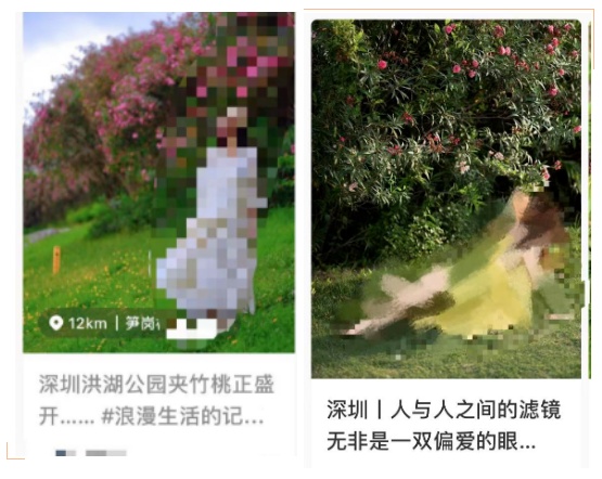 警惕！全株有毒！广东路边很常见！