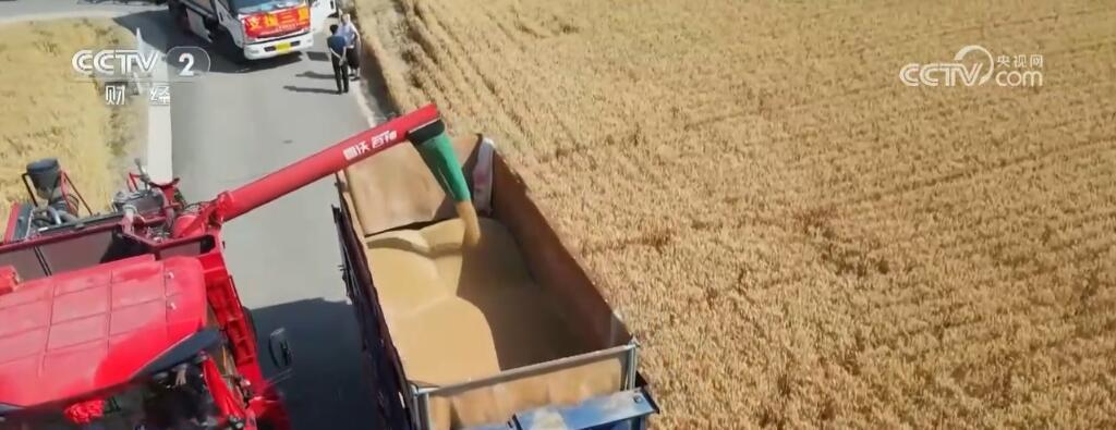 风吹麦浪勾勒丰收美景 智慧农业“神器”助力“三夏”麦收 风吹麦浪勾勒丰收美景 智慧农业“神器”助力“三夏”麦收