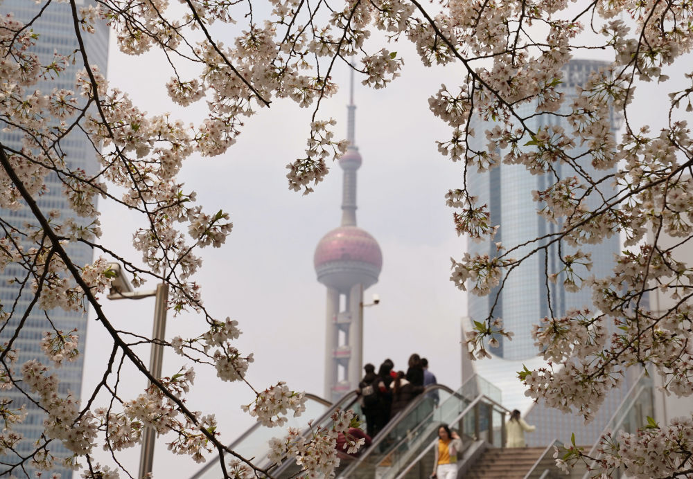 前四个月上海入境游客同比增长205% &nbsp;外国人支付预约环境持续提升