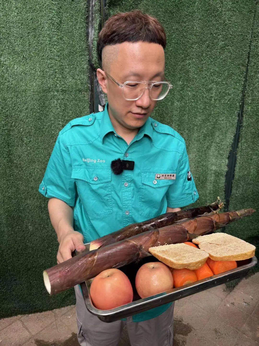 要备案,有专区!在北京动物园直播“顶流”熊猫有规矩,违规三次就禁播 要备案,有专区!在北京动物园直播“顶流”熊猫有规矩,违规三次就禁播