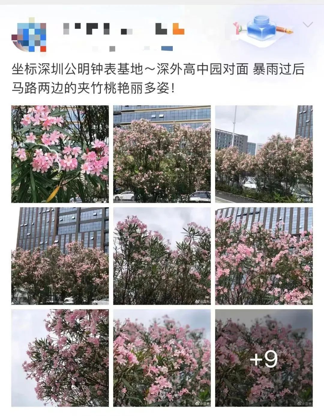 千万别咬着这种花拍照