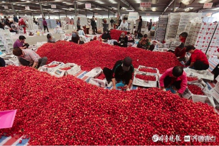 价格腰斩冲上热搜!正大量上市!网友:盼了一整年 价格腰斩冲上热搜!正大量上市!网友:盼了一整年