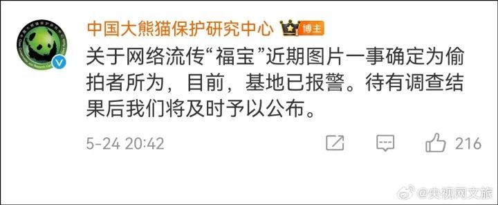 “福宝”被偷拍,大熊猫保护研究中心回应 “福宝”被偷拍,大熊猫保护研究中心回应