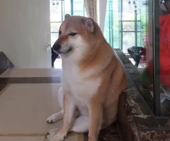 怀念！常用的表情包原型去世了！全球知名、被十几亿人熟知→