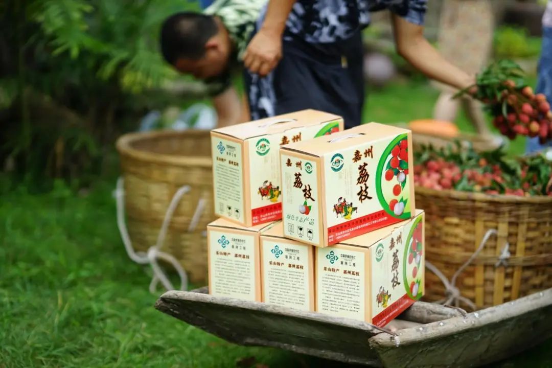 实现“荔枝自由”?我提名四川这里 实现“荔枝自由”?我提名四川这里