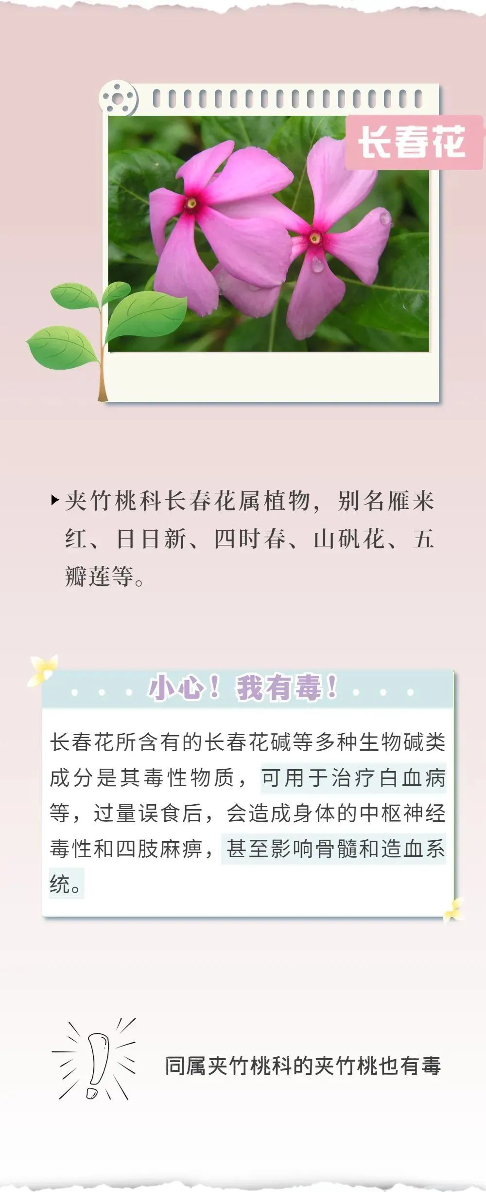 千万别咬着这种花拍照