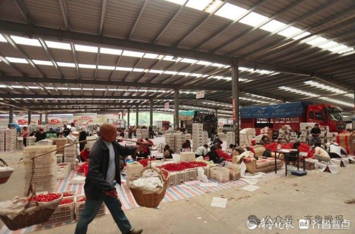 价格腰斩冲上热搜!正大量上市!网友:盼了一整年 价格腰斩冲上热搜!正大量上市!网友:盼了一整年