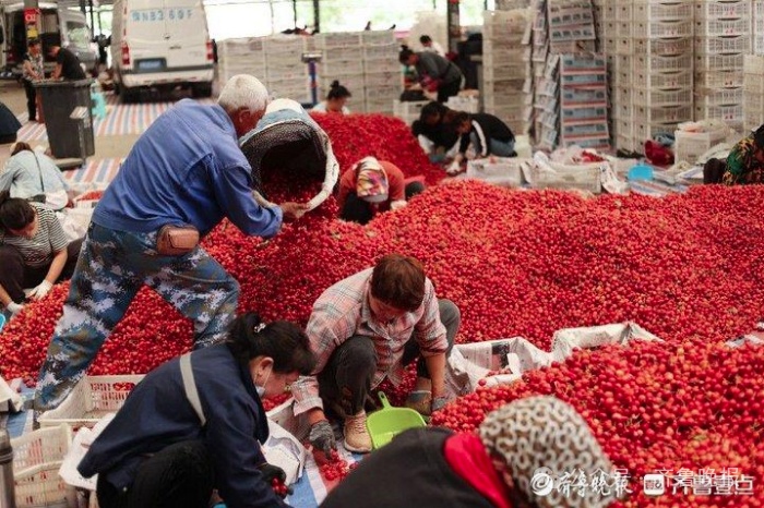 价格腰斩冲上热搜!正大量上市!网友:盼了一整年 价格腰斩冲上热搜!正大量上市!网友:盼了一整年