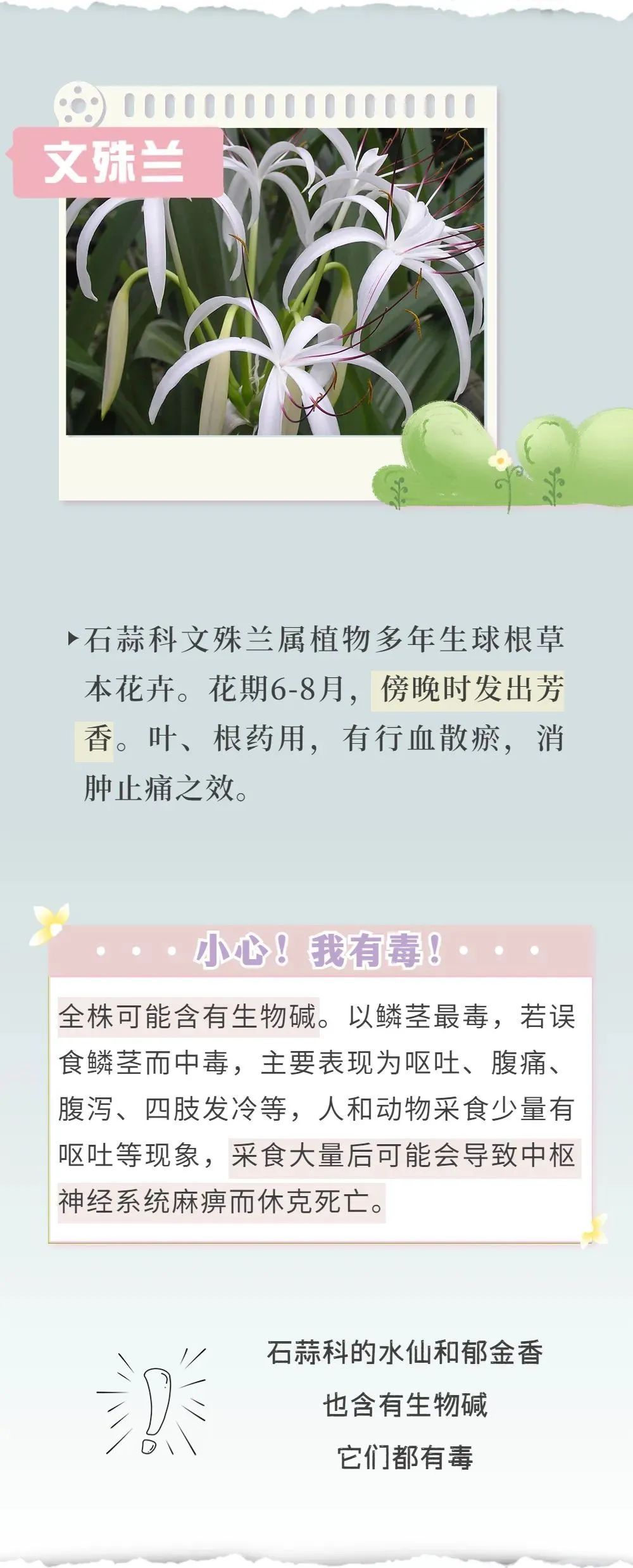 千万别咬着这种花拍照