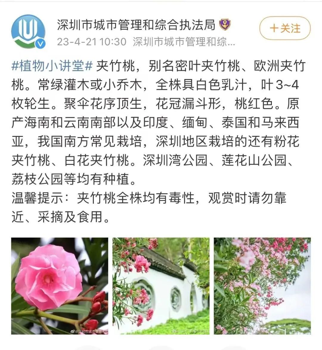 千万别咬着这种花拍照