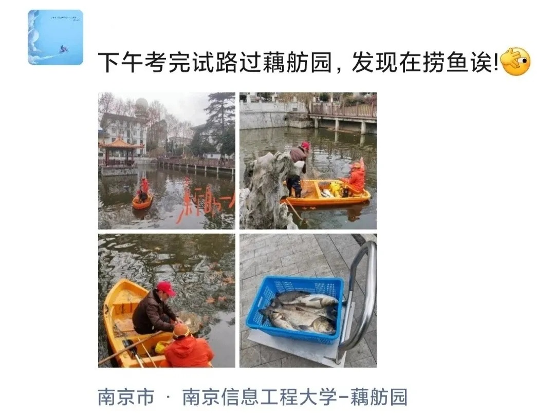 南京一高校“许愿池”火了