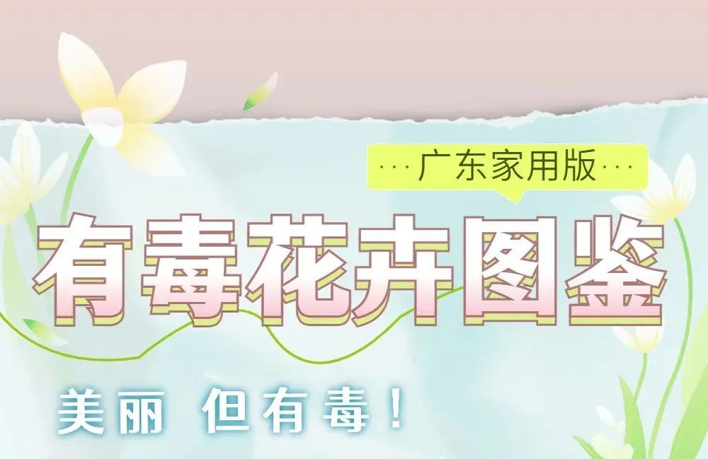 千万别咬着这种花拍照