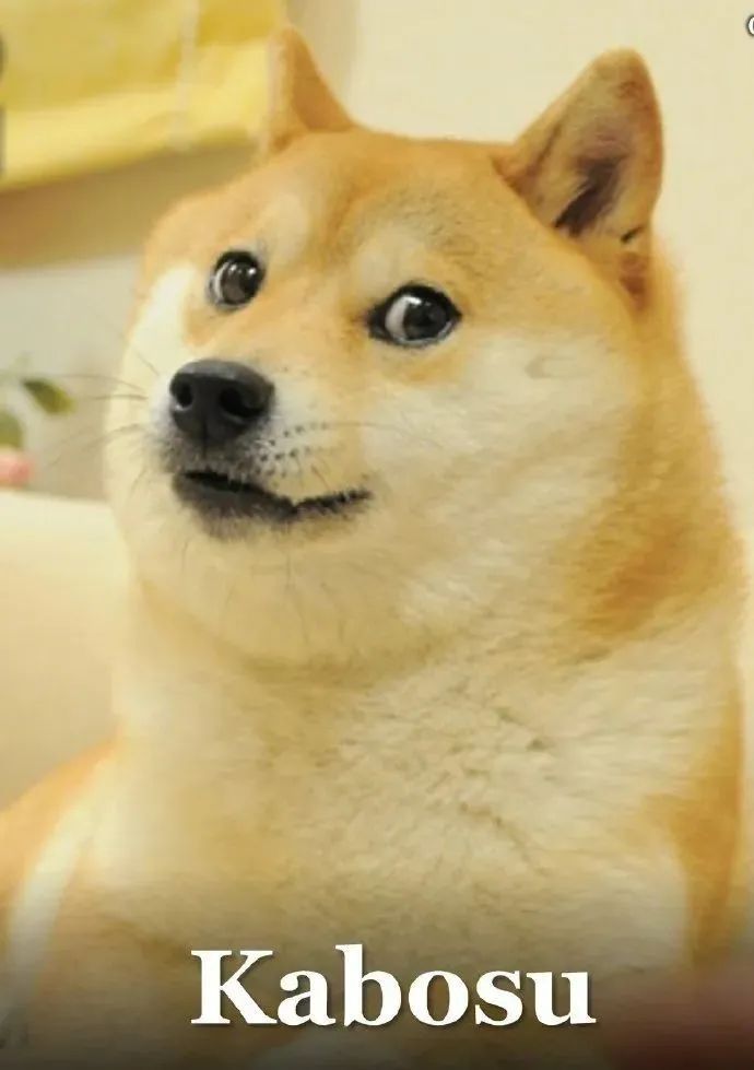 怀念！常用的表情包原型去世了！全球知名、被十几亿人熟知→