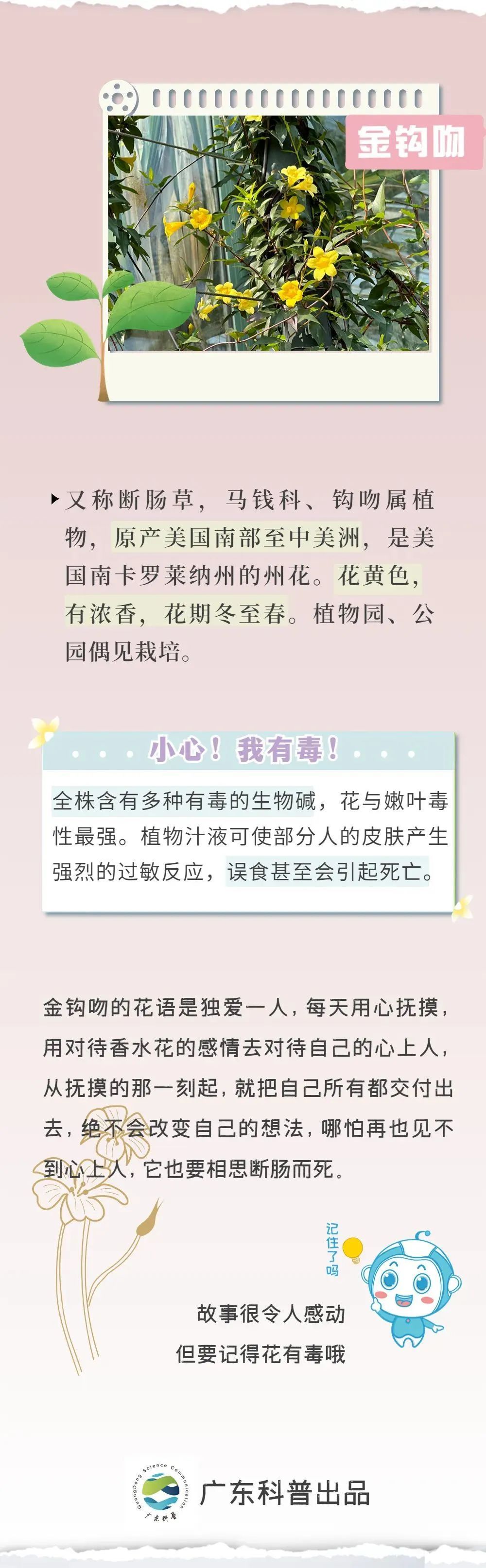 千万别咬着这种花拍照