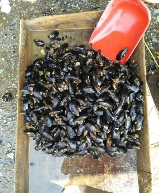 近期不要买、不要吃！河北2市紧急提醒→