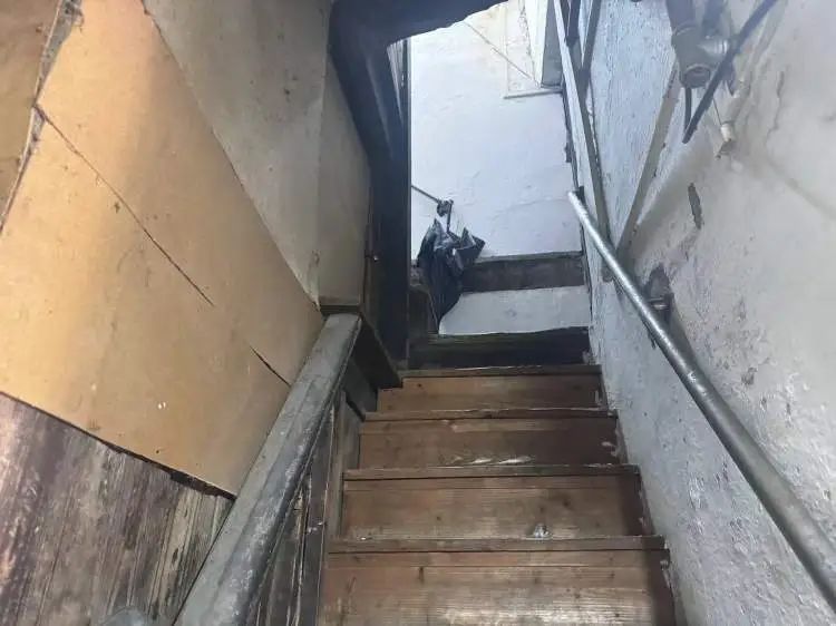 上海人最担心的来了!有人夜不能寐,身上、头上到处都是…… 上海人最担心的来了!有人夜不能寐,身上、头上到处都是……