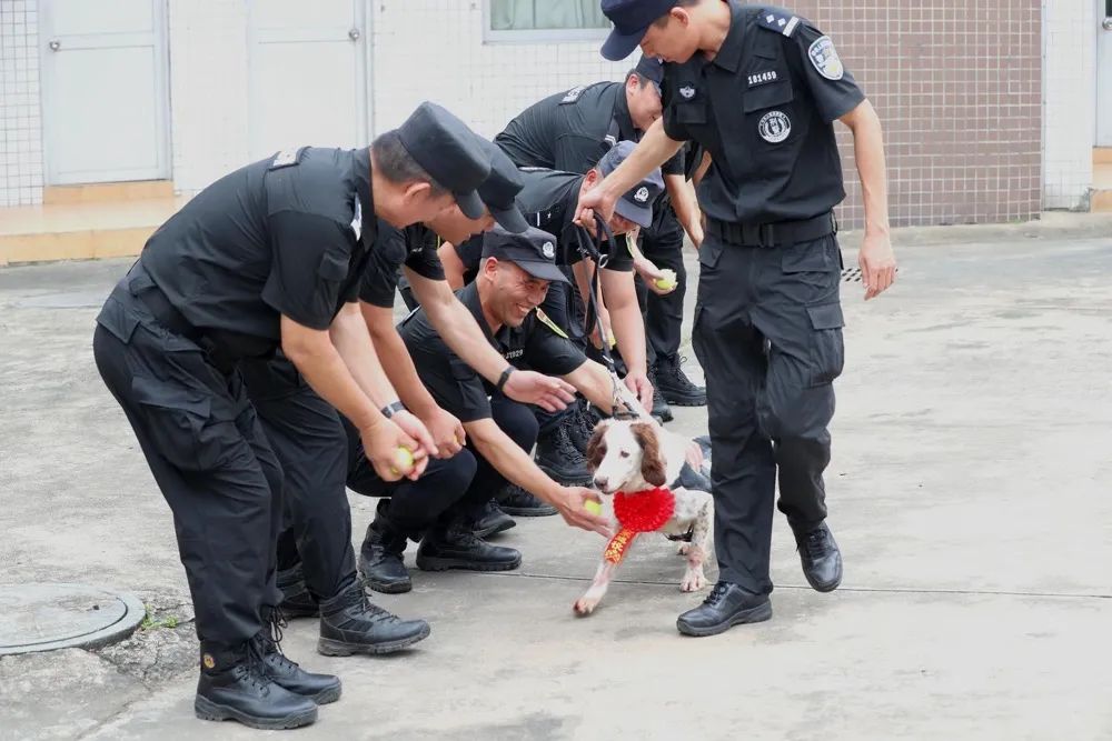 警犬“飞机”入职日记！