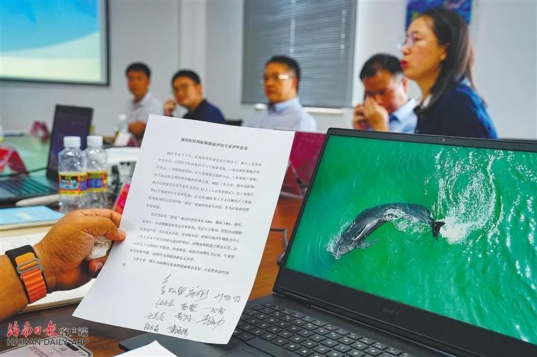 祝福!“海棠”从三亚启程“回家” 祝福!“海棠”从三亚启程“回家”