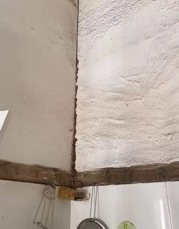 上海人最担心的来了!有人夜不能寐,身上、头上到处都是…… 上海人最担心的来了!有人夜不能寐,身上、头上到处都是……