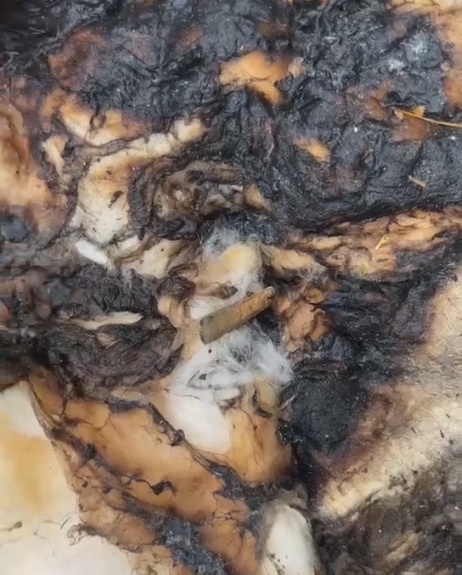 太危险了!家住2楼以上的,都要注意! 太危险了!家住2楼以上的,都要注意!