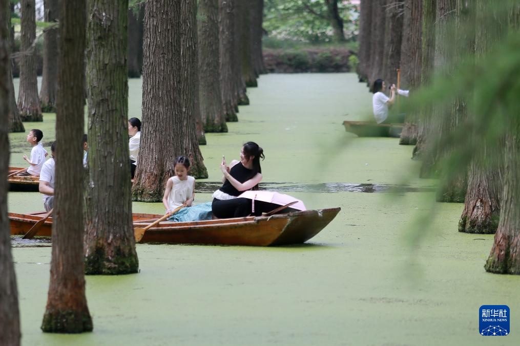 “水上森林”享清凉
