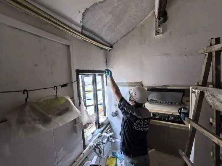 上海人最担心的来了!有人夜不能寐,身上、头上到处都是…… 上海人最担心的来了!有人夜不能寐,身上、头上到处都是……