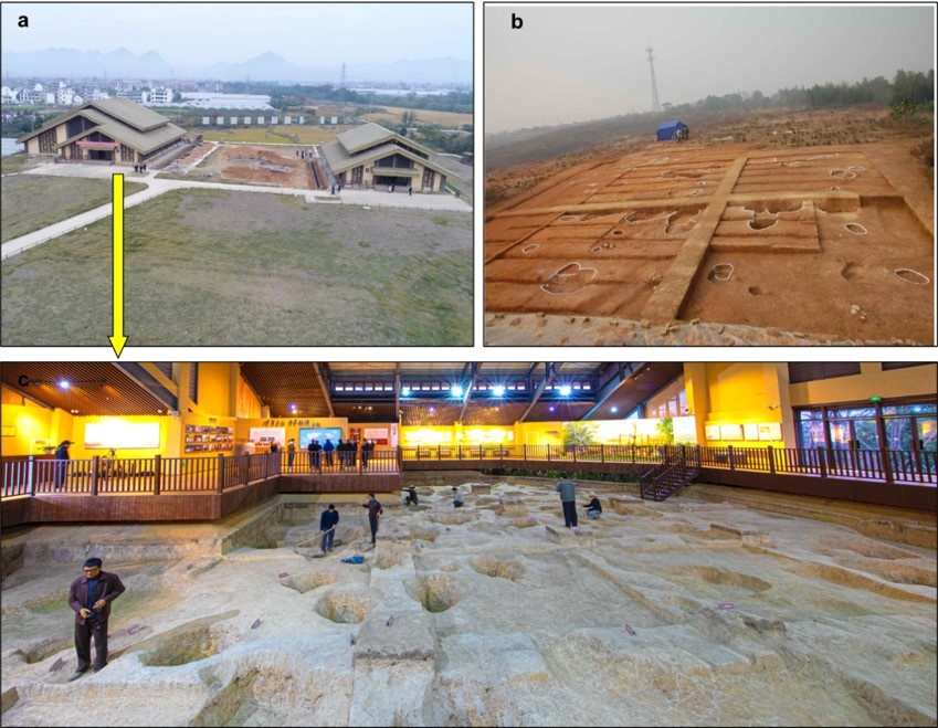 中国是世界水稻起源地!这项研究揭开了水稻10万年的演化史 中国是世界水稻起源地!这项研究揭开了水稻10万年的演化史