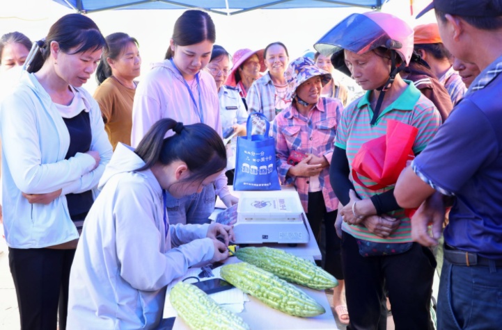 这里,“苦瓜王”出炉! 这里,“苦瓜王”出炉!