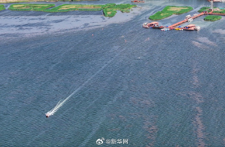 一起欣赏！夏日乌梁素海风景如画