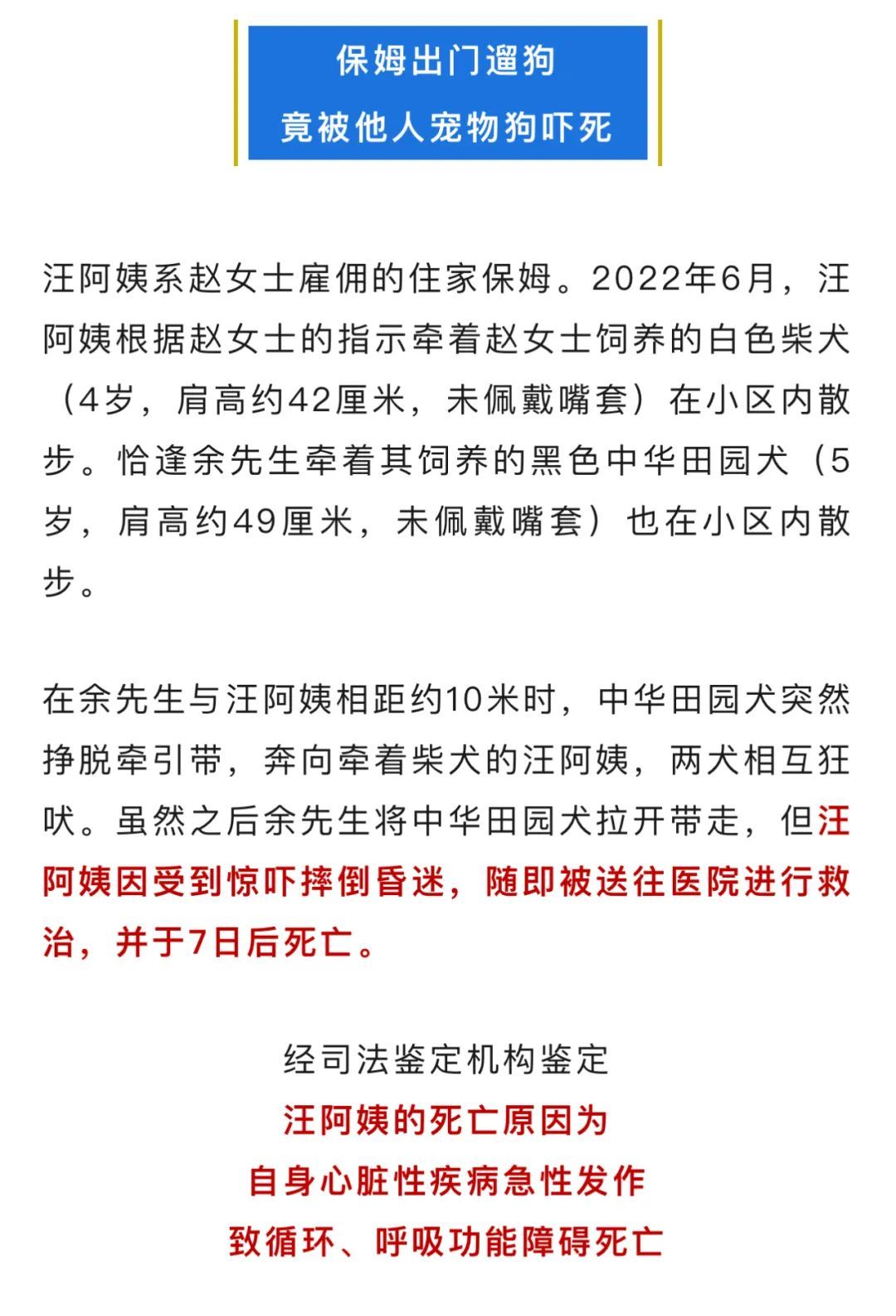 保姆外出遛狗，被他东谈主宠物狗吓昏后升天！法院判了→