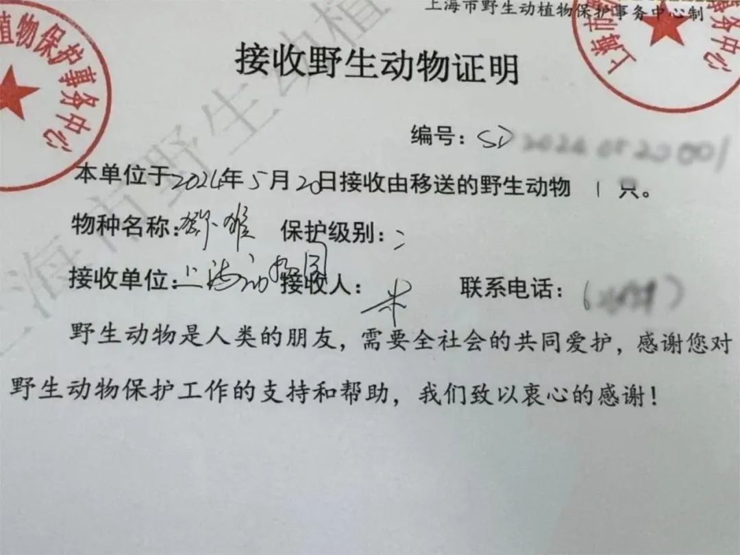你是猴子请来的救兵吗？