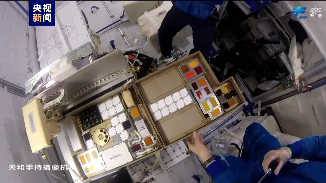 太空养鱼进展咋样?神十八乘组在轨满月 太空养鱼进展咋样?神十八乘组在轨满月