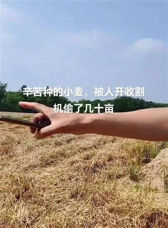 几十亩小麦被人开收割机偷走?警方通报来了! 几十亩小麦被人开收割机偷走?警方通报来了!