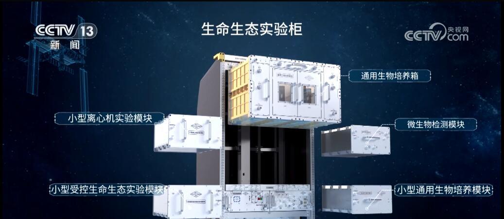 神十八乘组在轨30天 多项空间科学实(试)验正稳步推进 神十八乘组在轨30天 多项空间科学实(试)验正稳步推进