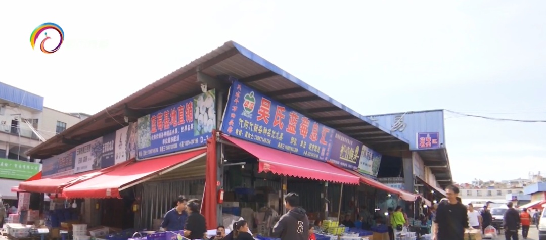 抓紧时间享受“蓝莓自由”，价格便宜一半还多！另一种惹人爱的水果闪亮登场……